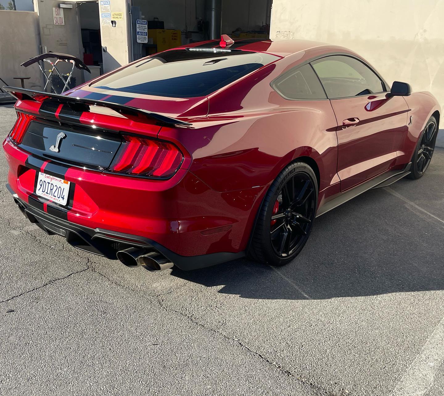 Cobra Finished2